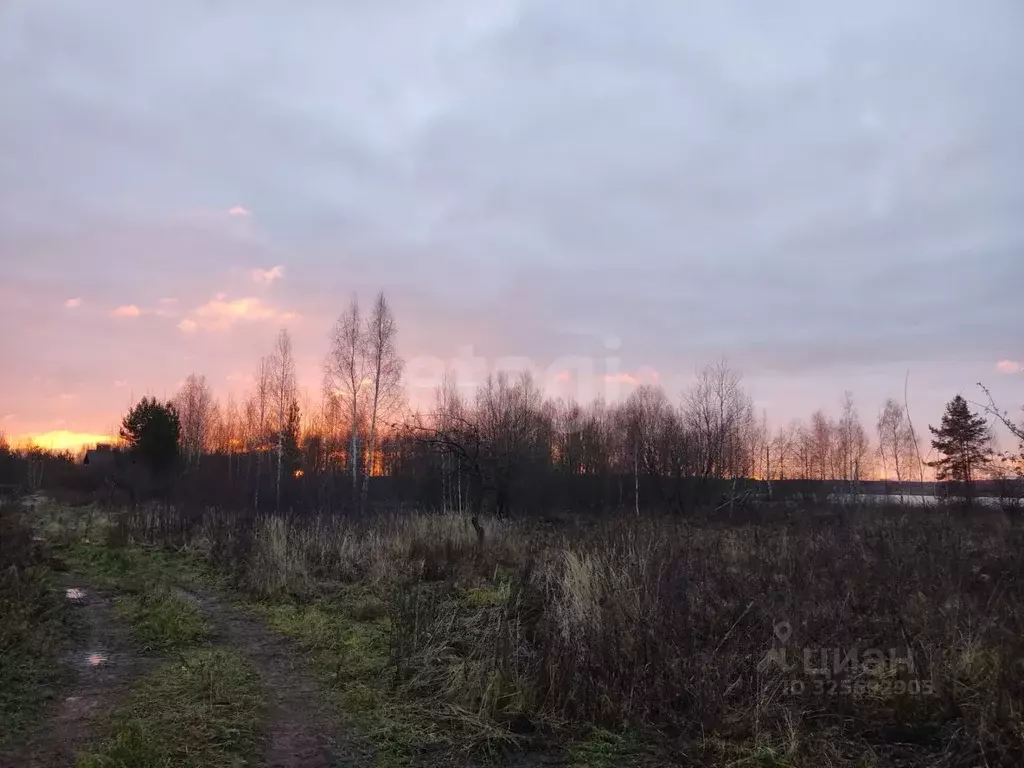 Участок в Нижегородская область, Городецкий муниципальный округ, д. ... - Фото 2