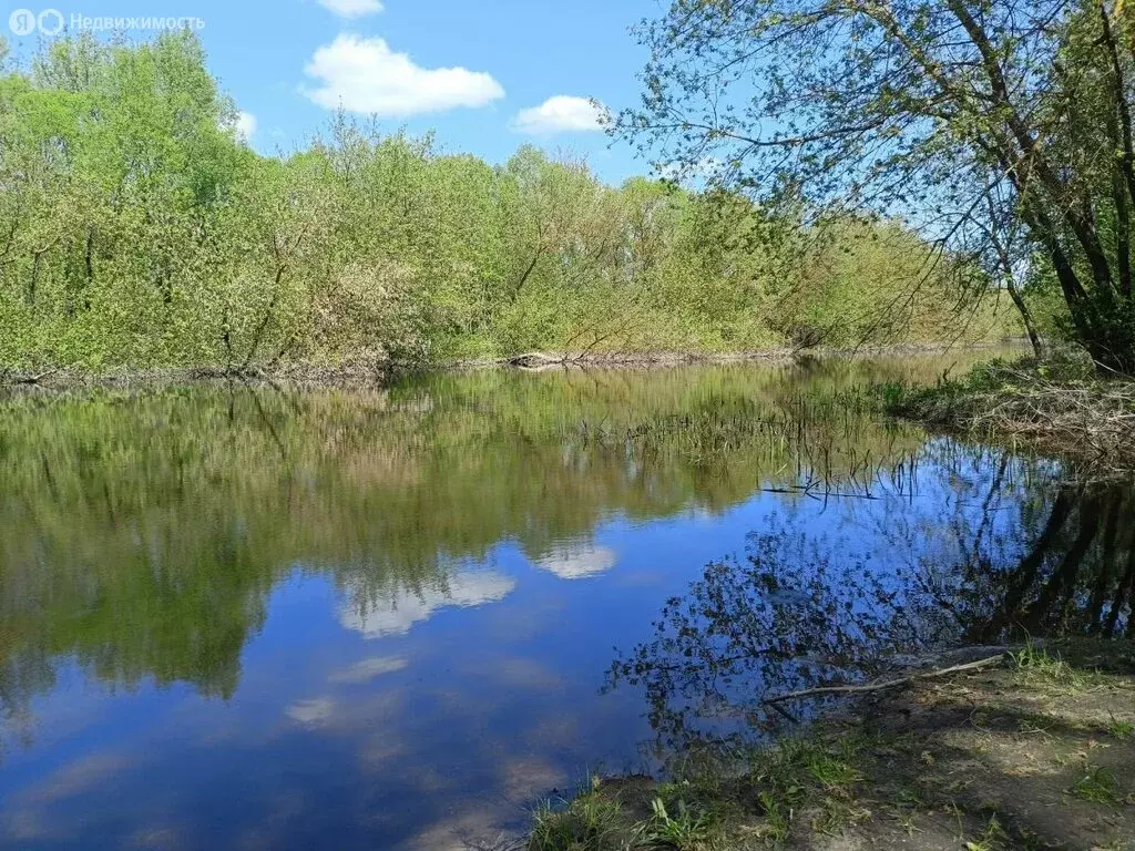Дом в Курский район, Лебяженский сельсовет, деревня Толмачёво, 26 ... - Фото 0