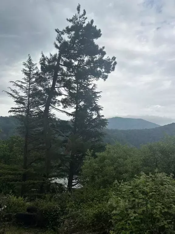 Участок в Краснодарский край, Сочи городской округ, с. Прогресс, БФО ... - Фото 2