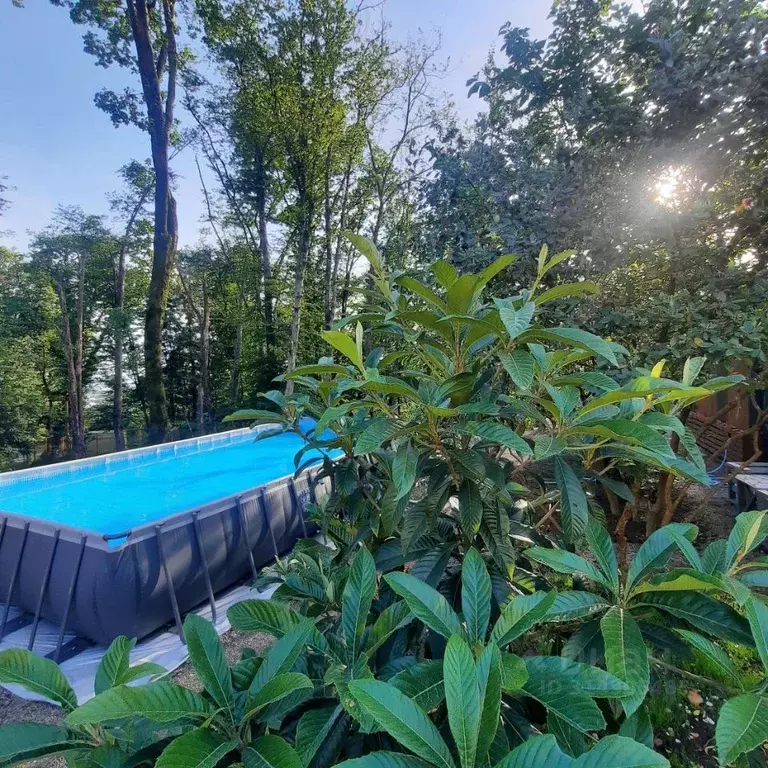 Дом в Краснодарский край, Сочи городской округ, с. Верхневеселое ул. ... - Фото 2