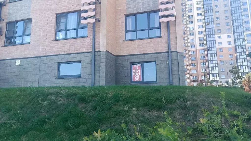 Офис в Краснодарский край, Новороссийск ул. Имени Владимира Бута, 8 ... - Фото 1