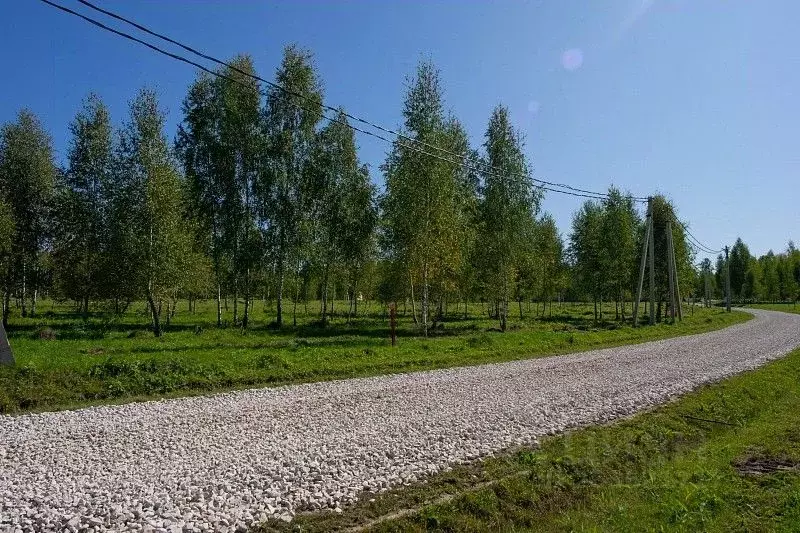 Участок в Тульская область, Заокский район, Демидовское муниципальное ... - Фото 1
