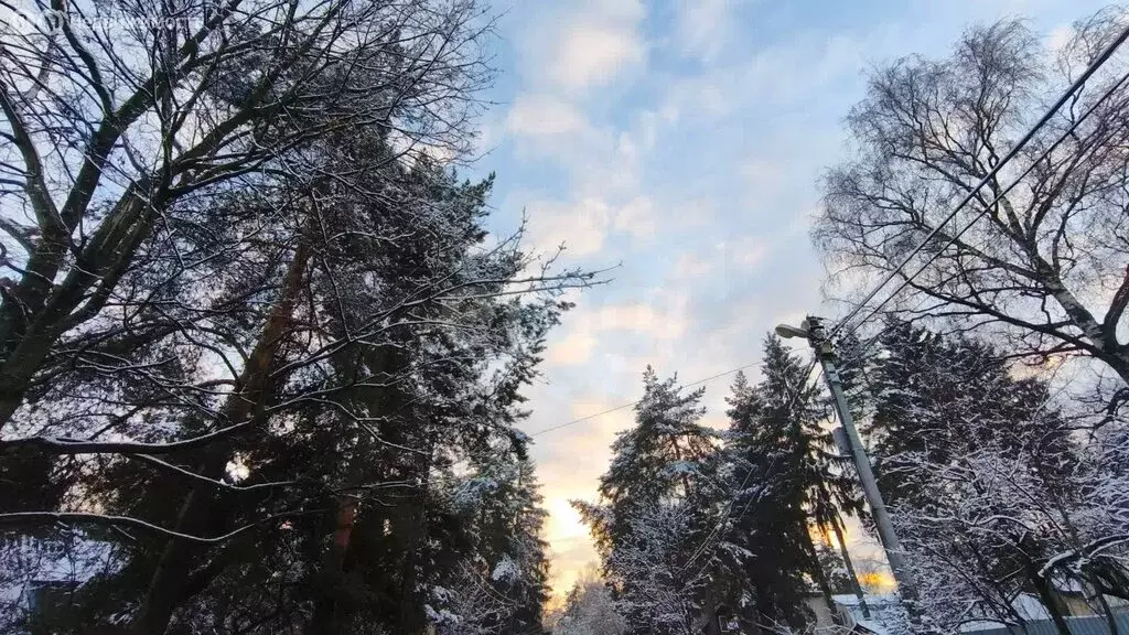 Участок в Малаховка, улица Халтурина (11.3 м) - Фото 2