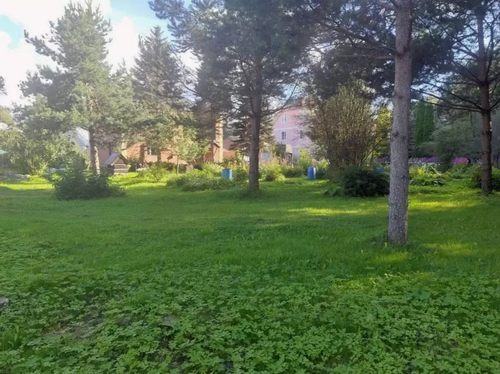 Участок в Московская область, Солнечногорск городской округ, д. ... - Фото 1