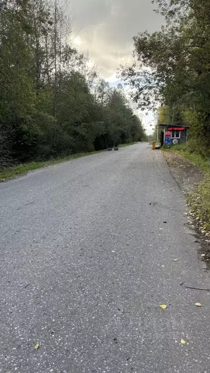 Участок в Московская область, Клин городской округ, Лесной ДСК 174 ... - Фото 1