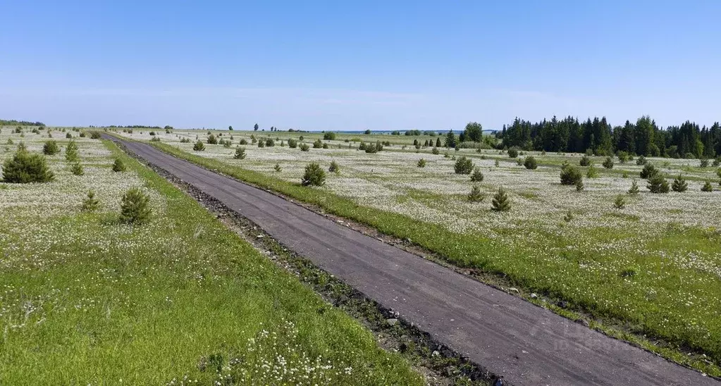 Участок в Удмуртия, Завьяловский район, д. Красный Кустарь  (7.98 ... - Фото 1