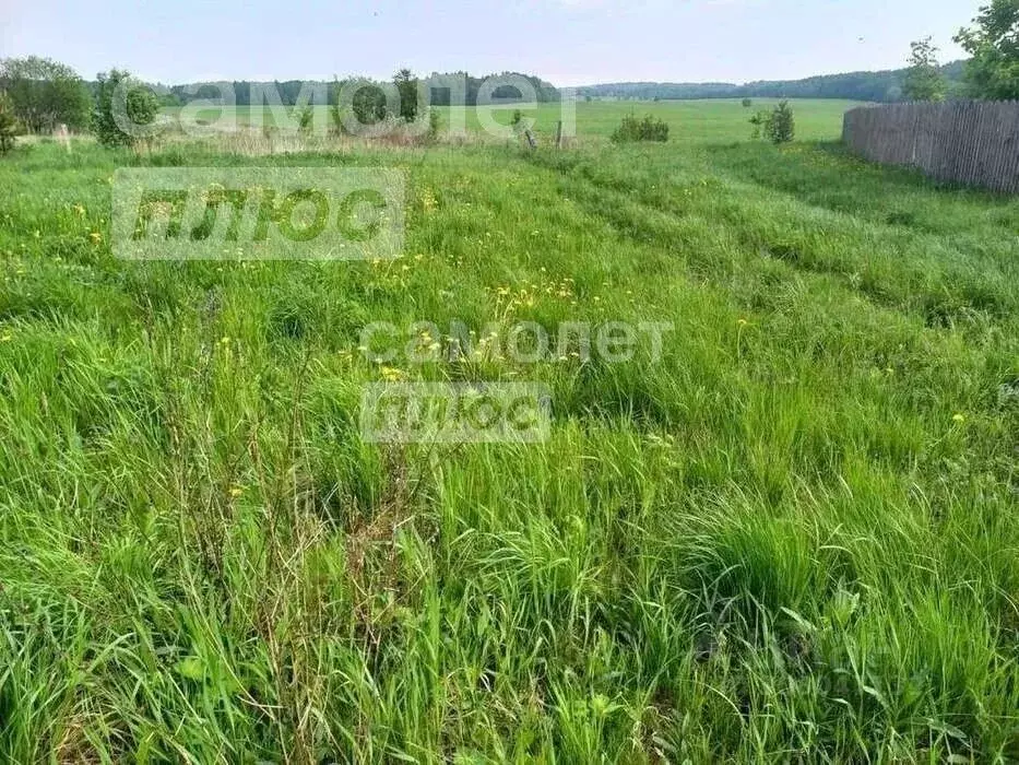 Участок в Вологодская область, д. Елгино  (8.1 сот.) - Фото 1