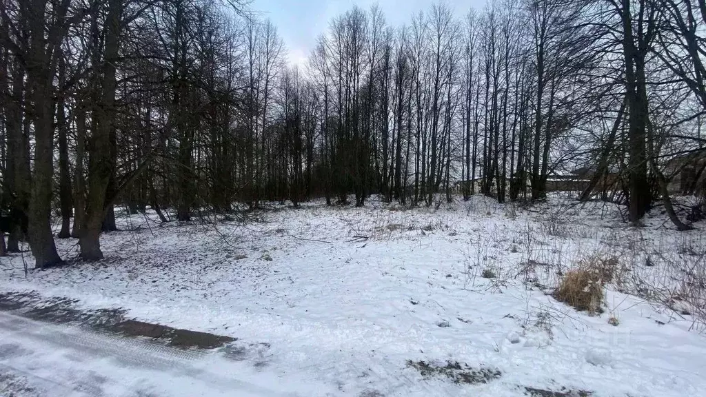 Участок в Московская область, Ступино городской округ, с. ... - Фото 1