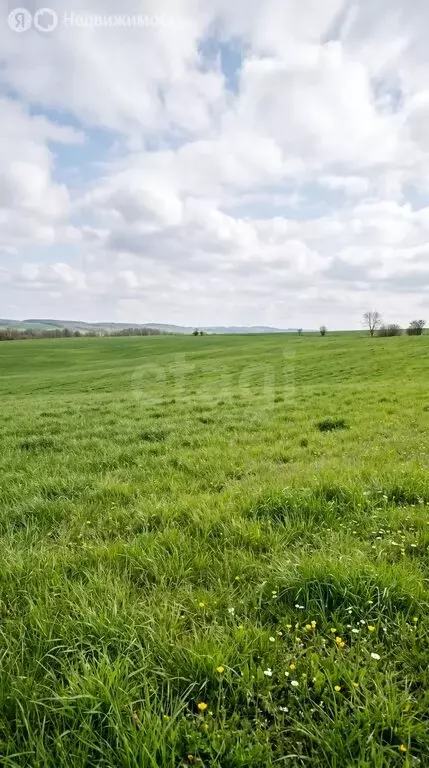 Участок в Усть-Коксинский район, село Усть-Кокса (360 м) - Фото 2