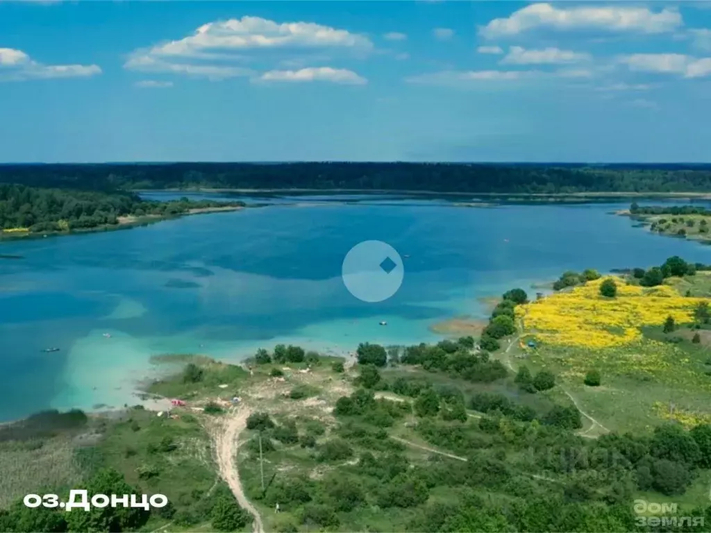 Участок в Ленинградская область, Волосовский район, Рабитицкое с/пос, ... - Фото 1