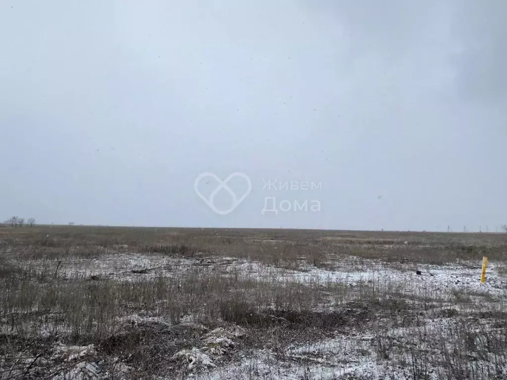 Участок в Волгоградская область, Среднеахтубинский район, Фрунзенское ... - Фото 0
