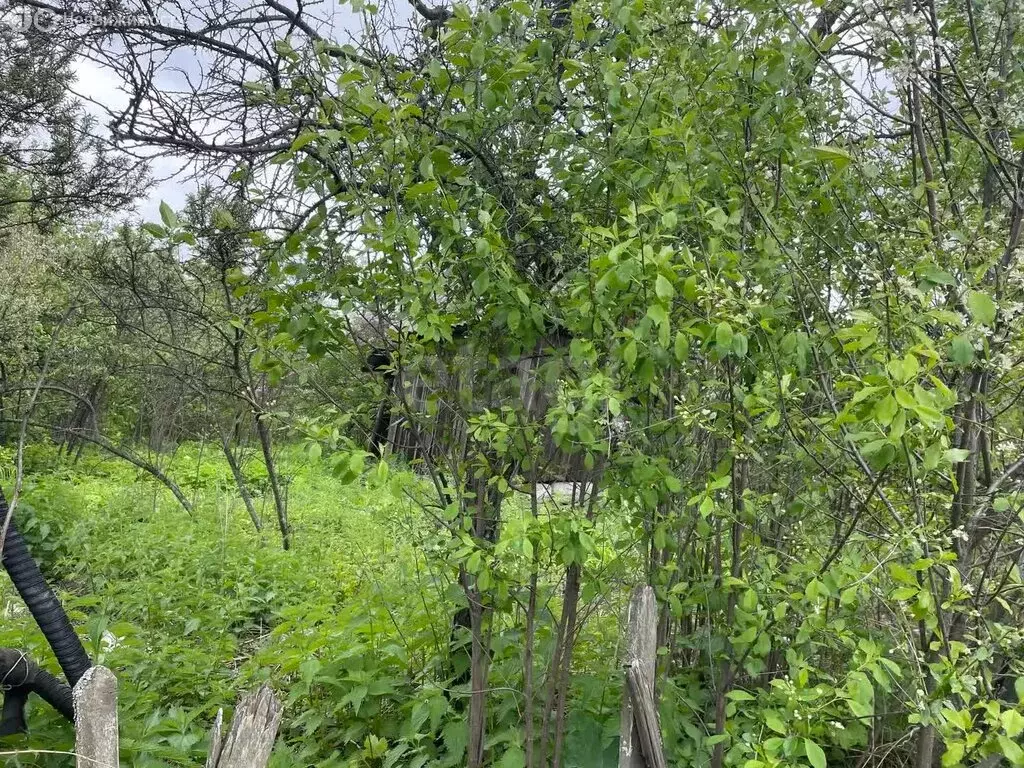 Участок в Миасс, СНТ Маяк (5.3 м) - Фото 0