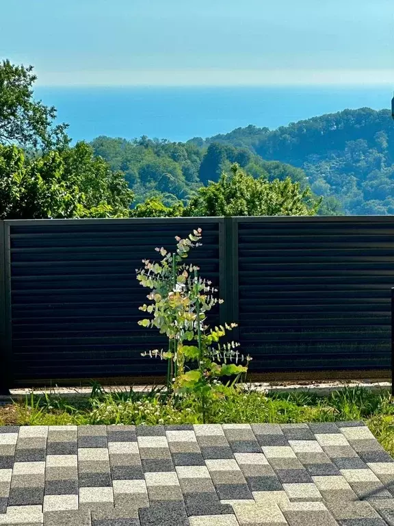 Коттедж в Краснодарский край, Сочи Миндальная ул. (310 м) - Фото 2