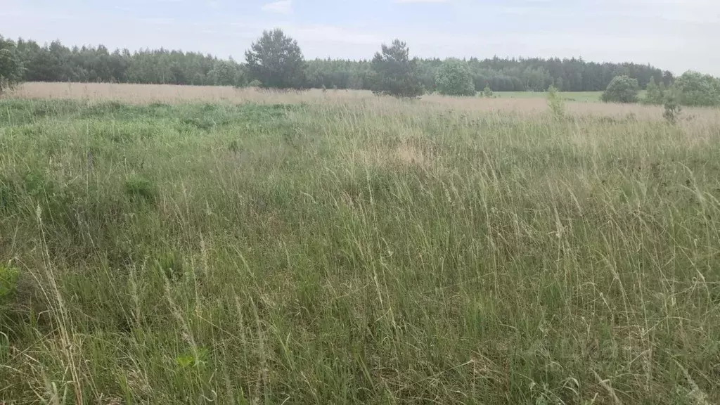 Участок в Московская область, Орехово-Зуевский городской округ, д. ... - Фото 0