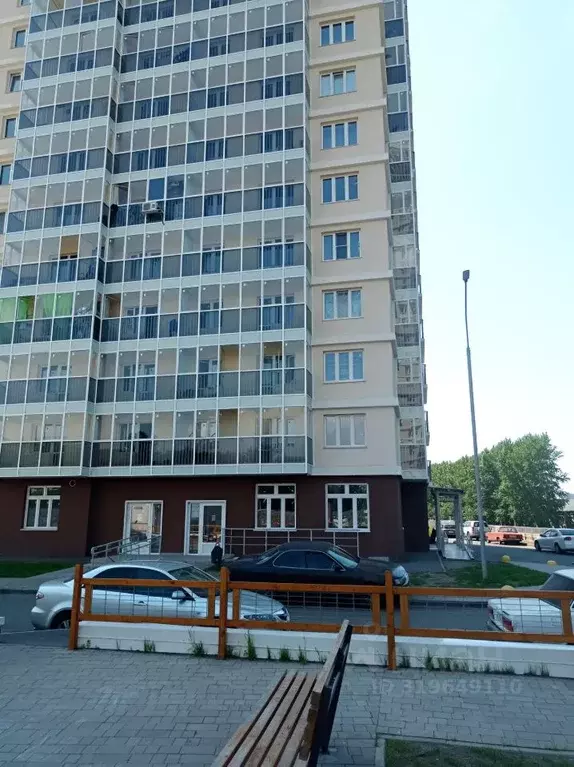 Студия Красноярский край, Красноярск ул. Шевченко, 1А (27.0 м) - Фото 0