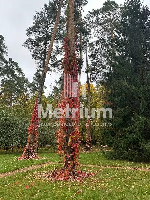 Продается участок в г. Электроугли - Фото 1