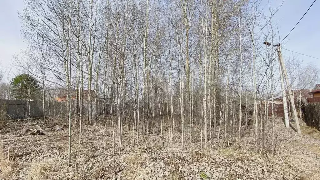 Участок 7,5 сот. (ИЖС) - Фото 1