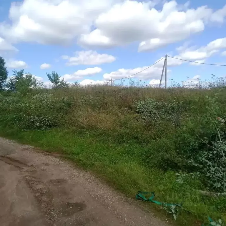 Участок в Новгородская область, Валдайский муниципальный округ, ... - Фото 2