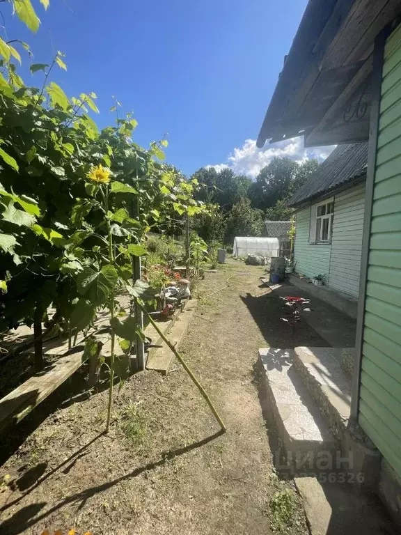Дом в Смоленская область, Ершичский муниципальный округ, д. Рудня 14 ... - Фото 1
