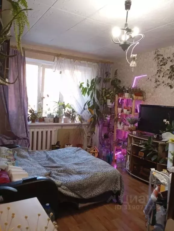 Комната Новгородская область, Великий Новгород Хутынская ул., 27к1 ... - Фото 0