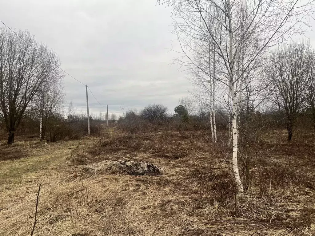 Участок в Брянская область, Брянск СО Мечта тер., ул. Виноградная (6.0 ... - Фото 1