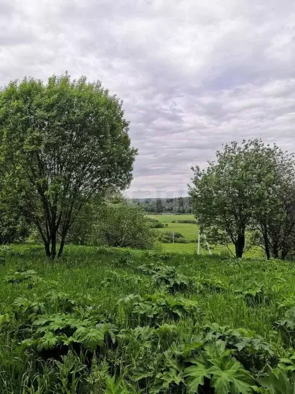 Участок в Кемеровская область, Кемеровский муниципальный округ, д. ... - Фото 1