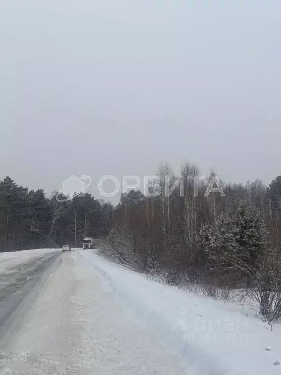 Участок в Тюменская область, Тюменский район, д. Марай  (7.5 сот.) - Фото 1