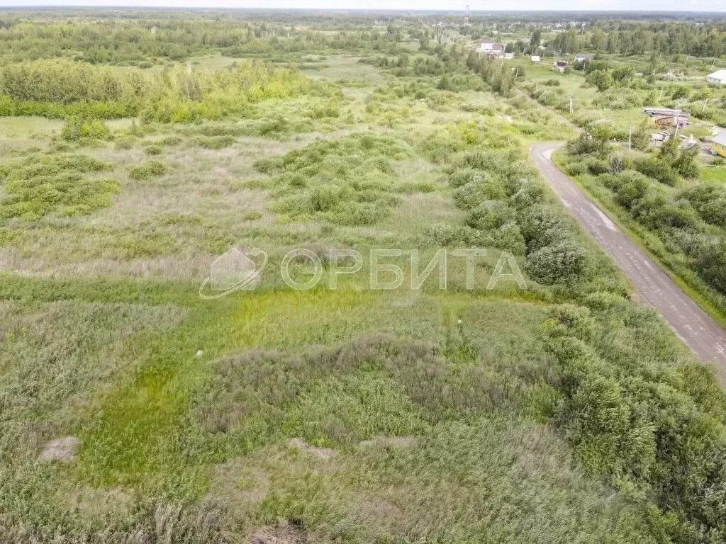 Участок в Тюменская область, Тюмень Медик СНТ, ул. Морковная, 87 (6.2 ... - Фото 1