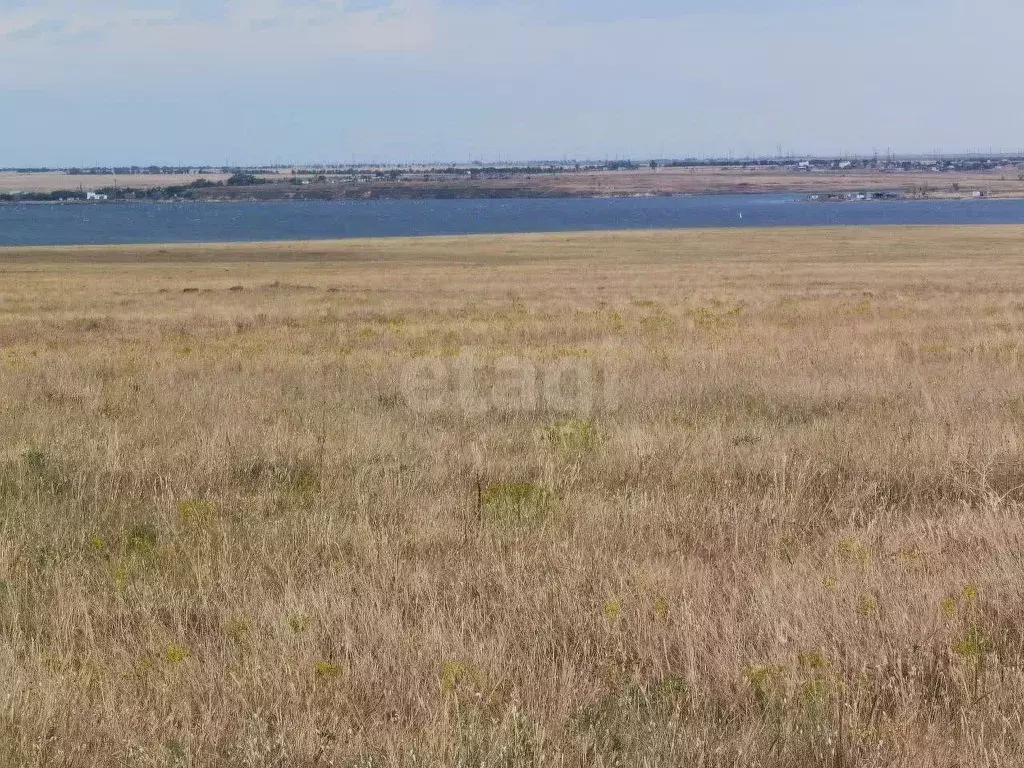 Участок в Крым, Черноморский район, Медведевское с/пос, с. Медведево  ... - Фото 1