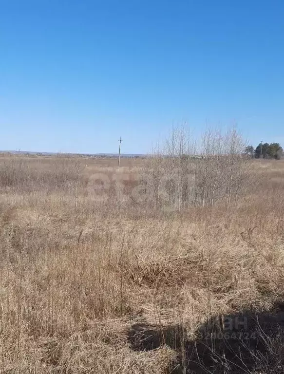Участок в Амурская область, Благовещенский район, пос. Заречный  (50.0 ... - Фото 2