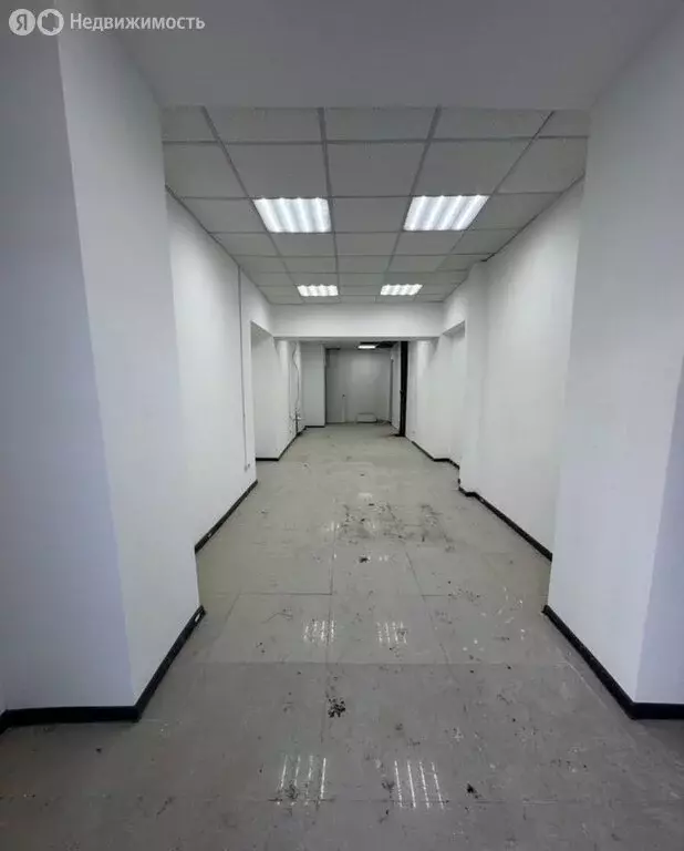 Помещение свободного назначения (51.7 м) - Фото 1