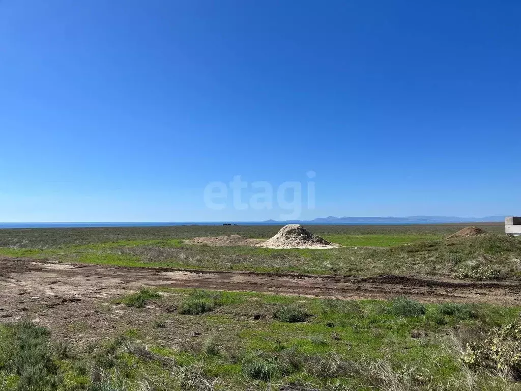 Участок в Крым, Ленинский район, с. Луговое ул. Луговская (793.9 сот.) - Фото 1