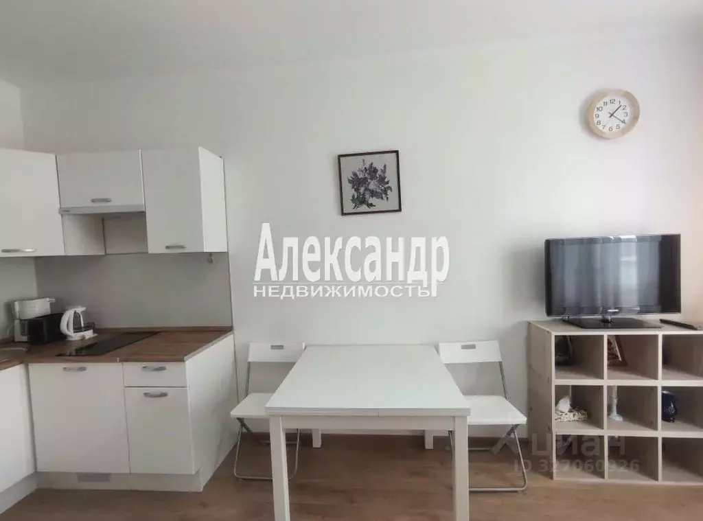 Студия Санкт-Петербург ул. Плесецкая, 20к1 (25.0 м) - Фото 1