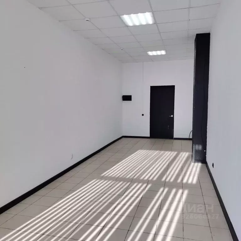 Офис в Краснодарский край, Краснодар Центральный мкр, ул. Коммунаров, ... - Фото 2