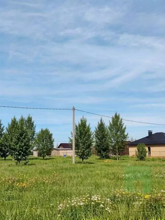 Участок в Марий Эл, Йошкар-Ола городской округ, д. Шоя-Кузнецово ул. ... - Фото 2