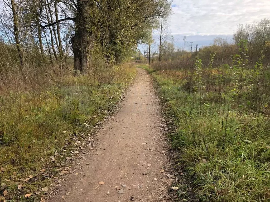Участок в Новгородская область, Старая Русса Линейный пер., 10к3 (12.0 ... - Фото 0