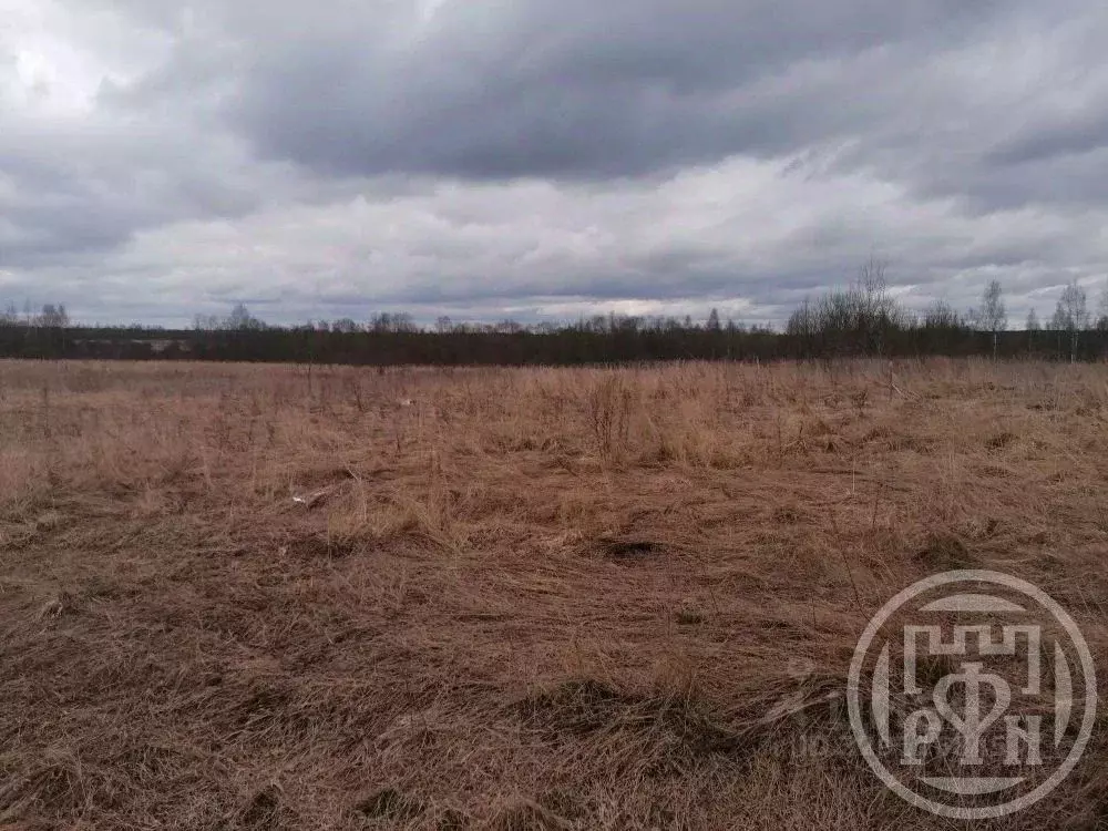 Участок в Ленинградская область, Лужский район, Скребловское с/пос, д. ... - Фото 2
