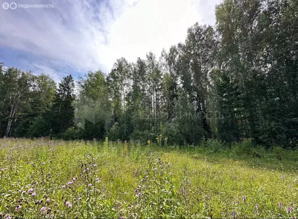 Участок в Тюменский район, село Кулига (8 м) - Фото 0