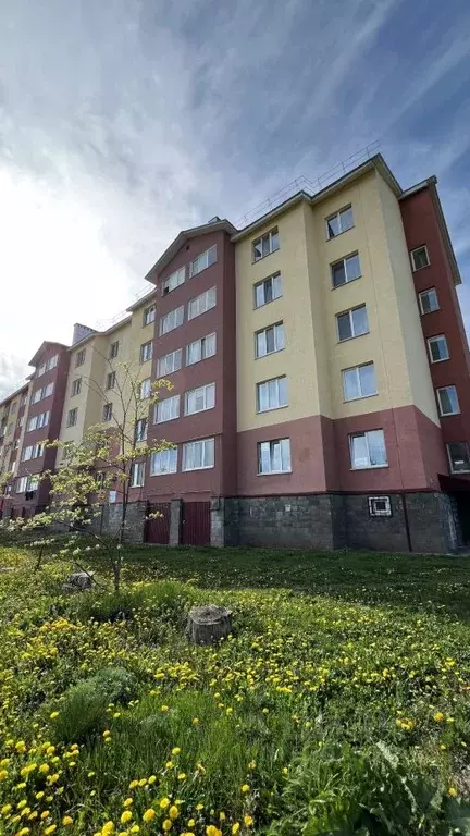 2-к кв. Башкортостан, Чишмы рп ул. Революционная, 31 (48.5 м) - Фото 1