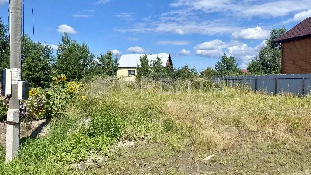 Участок в Тюменская область, Тюмень Раздолье садовое товарищество, ул. ... - Фото 1