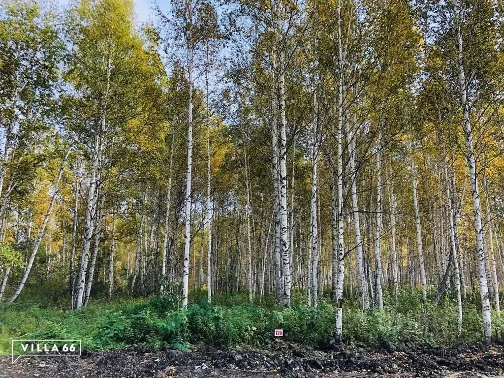 Участок в Свердловская область, Сысертский муниципальный округ, ... - Фото 0