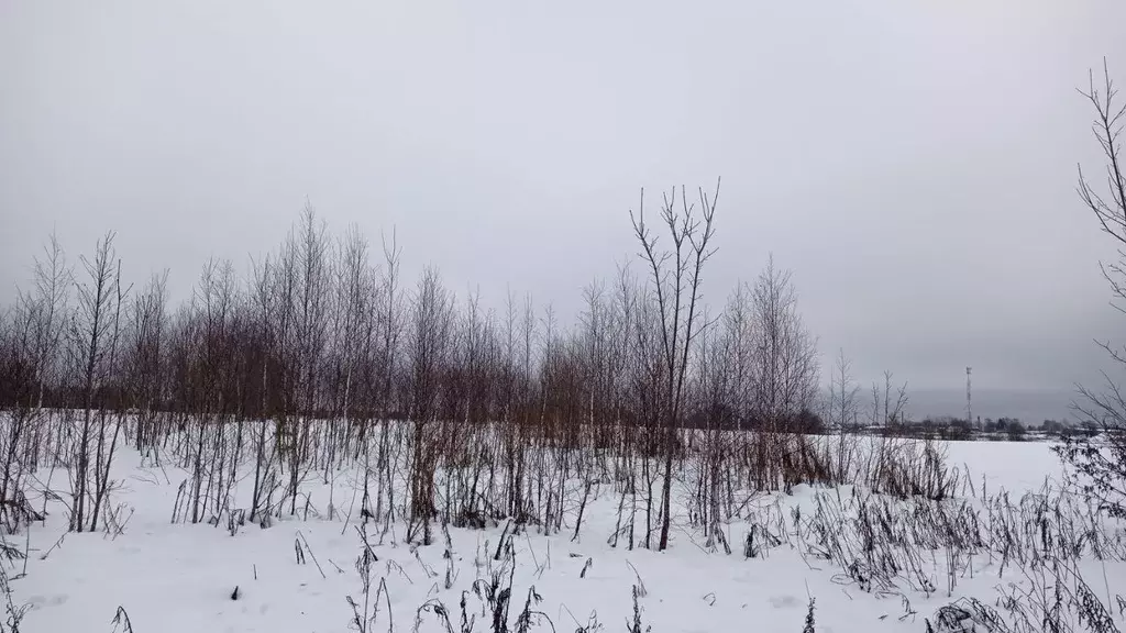 Участок в Московская область, Клин городской округ, д. Сметанино 4В ... - Фото 1