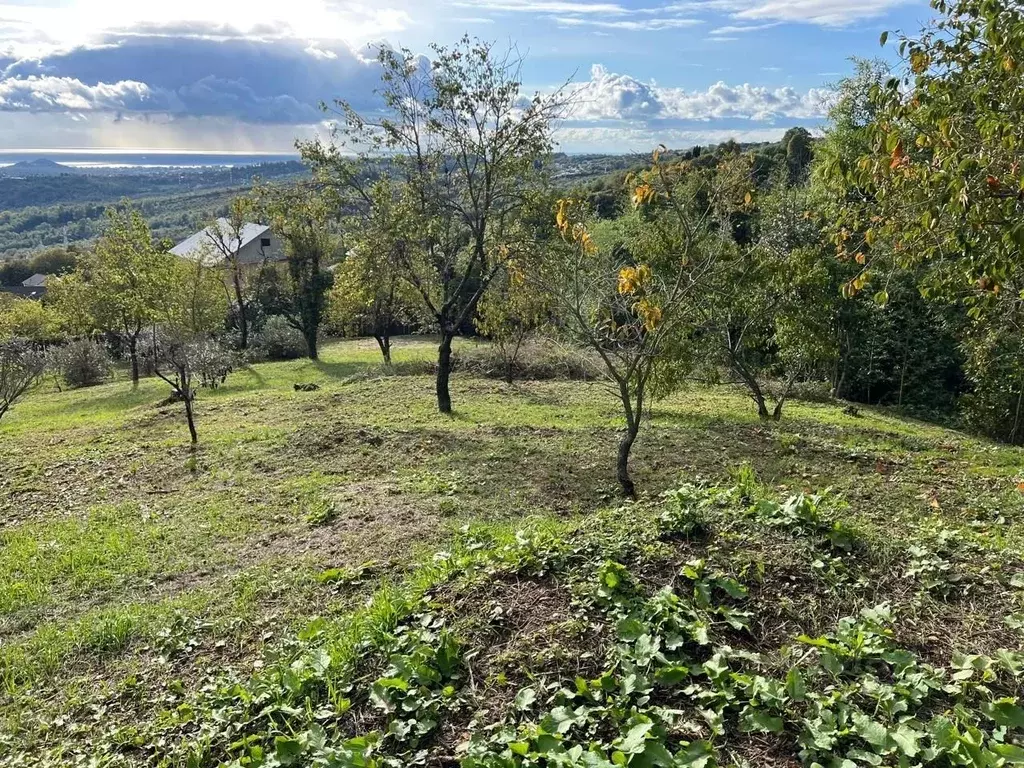 Участок в Краснодарский край, Сочи городской округ, с. Нижняя Шиловка ... - Фото 0