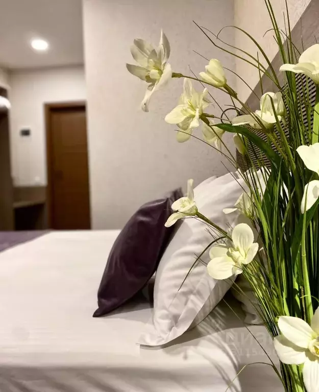 Комната Ростовская область, Аксай ул. Жданова, 11М (20.0 м) - Фото 2