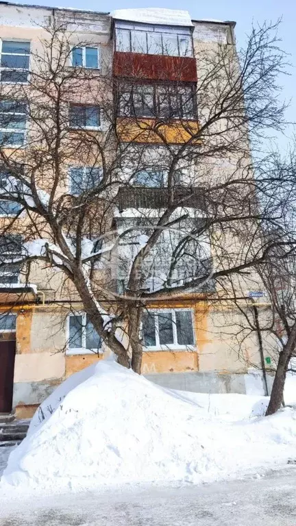 2-к кв. Пермский край, Чусовой ул. Сивкова, 2 (43.7 м) - Фото 1