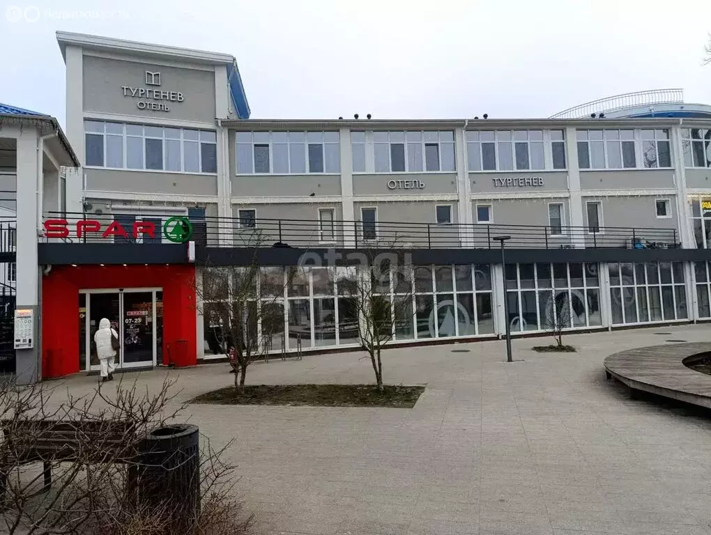 Помещение свободного назначения (24.6 м) - Фото 0