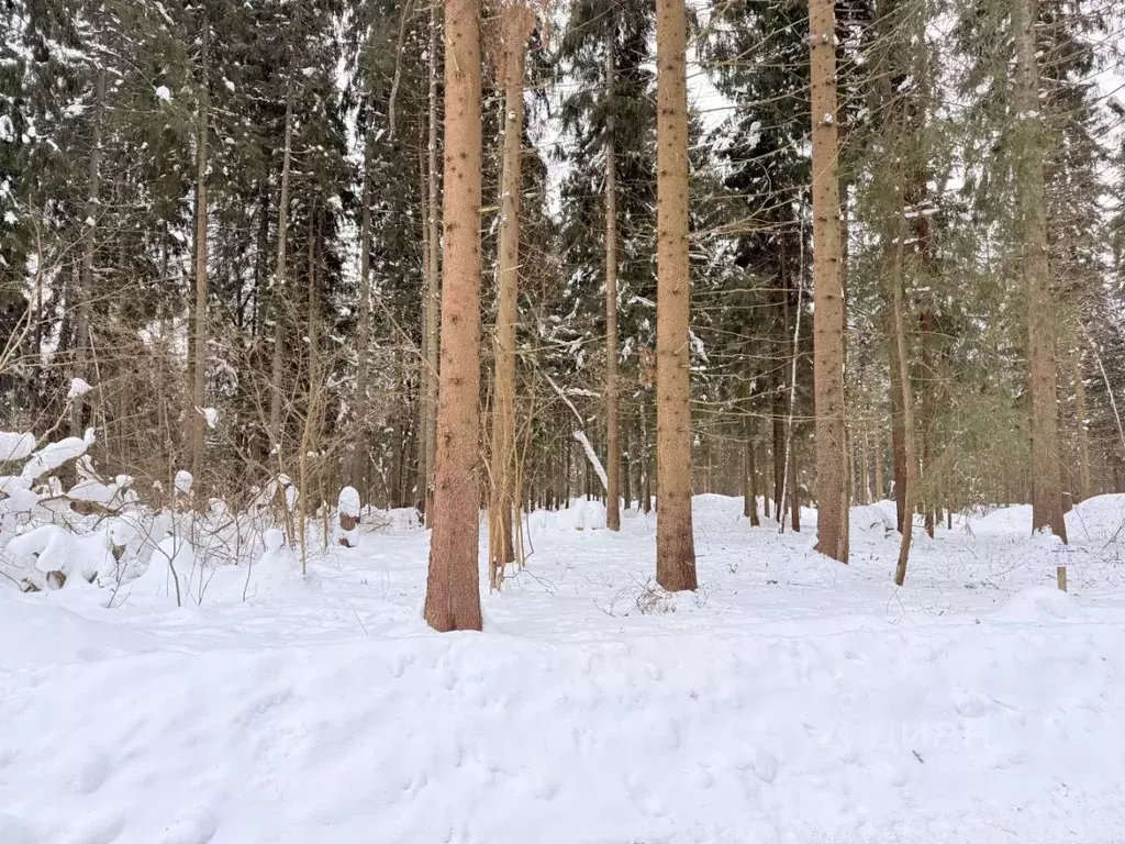 Участок в Московская область, Одинцовский городской округ, Каретный ... - Фото 1