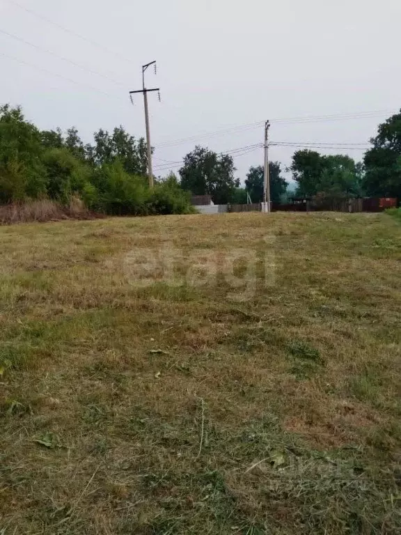 Участок в Амурская область, Благовещенский район, Луч СТ  (6.6 сот.) - Фото 2