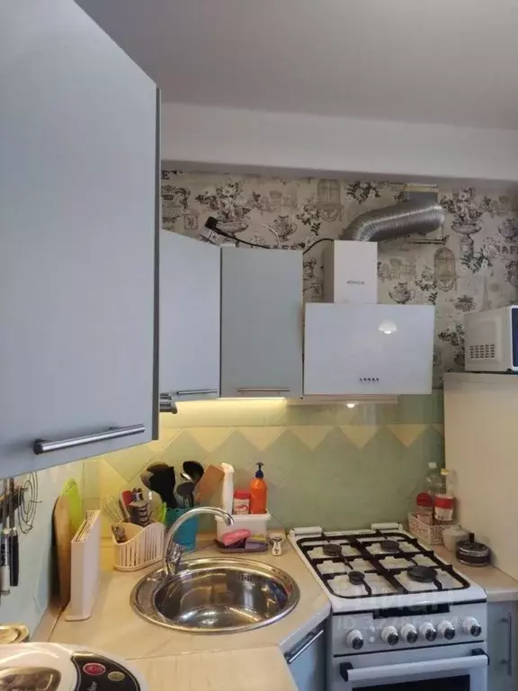 2-к кв. Санкт-Петербург просп. Народного ополчения, 229 (45.0 м) - Фото 2