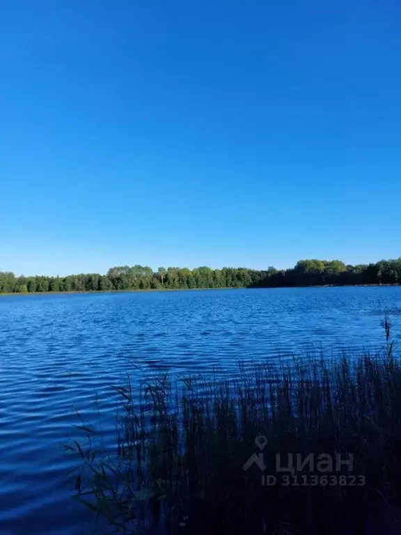 Участок в Ленинградская область, Лужский район, Серебрянское с/пос, д. ... - Фото 0